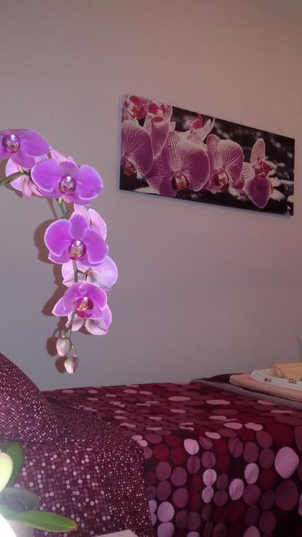 B&B Interno 8 Roma Habitación foto